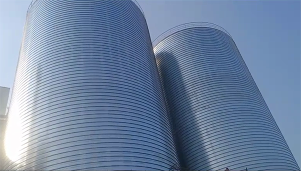 木垒2座混凝土高架卷板仓